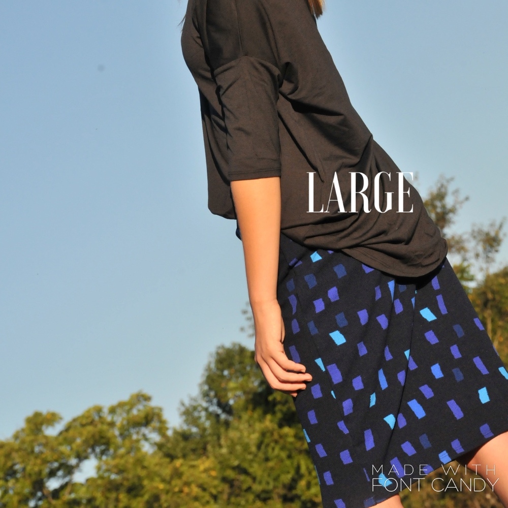 LuLaRoe Cassie Skirt - NWT - Sz Large